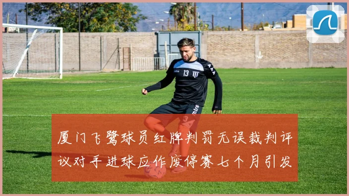 厦门飞鹭球员红牌判罚无误裁判评议对手进球应作废停赛七个月引发热议