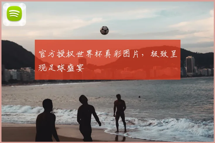 官方授权世界杯真彩图片，极致呈现足球盛宴