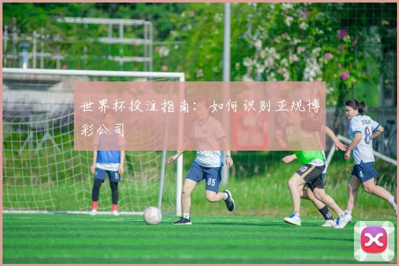 世界杯投注指南：如何识别正规博彩公司
