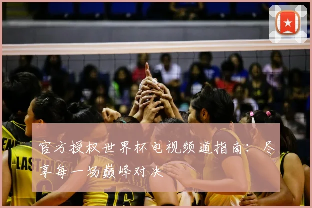 官方授权世界杯电视频道指南：尽享每一场巅峰对决