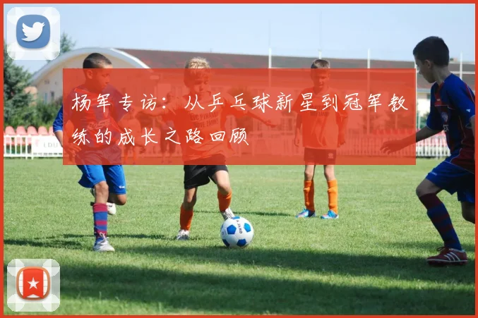 杨军专访：从乒乓球新星到冠军教练的成长之路回顾