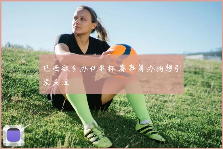 巴西欲自办世界杯 赛事筹办构想引发关注