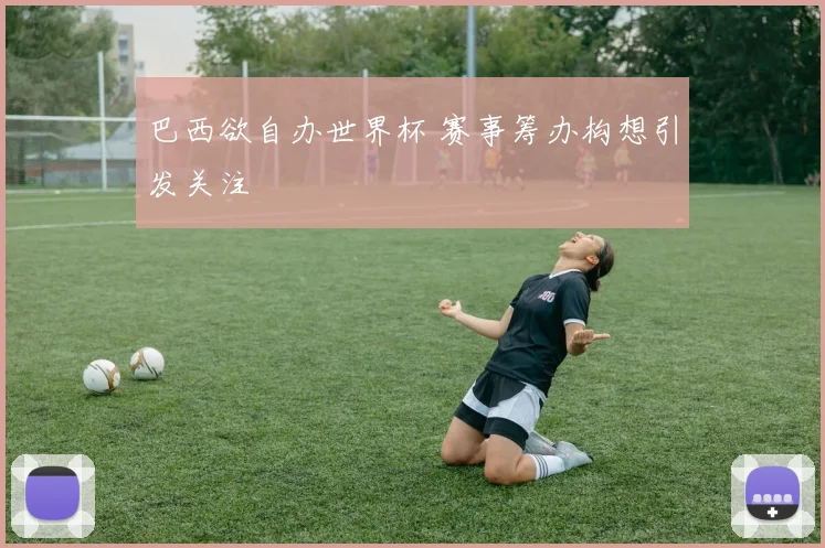 巴西欲自办世界杯 赛事筹办构想引发关注
