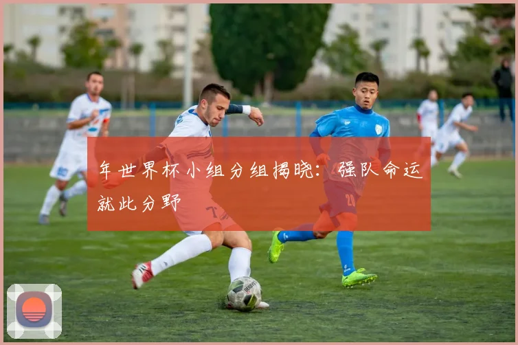 年世界杯小组分组揭晓：强队命运就此分野