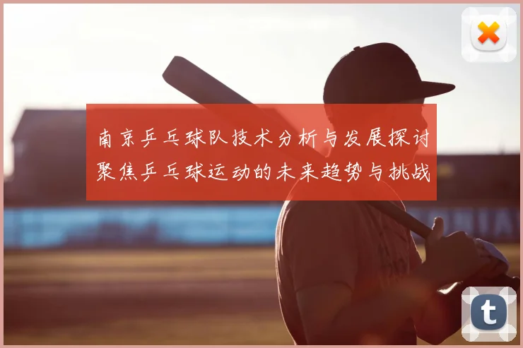 南京乒乓球队技术分析与发展探讨聚焦乒乓球运动的未来趋势与挑战