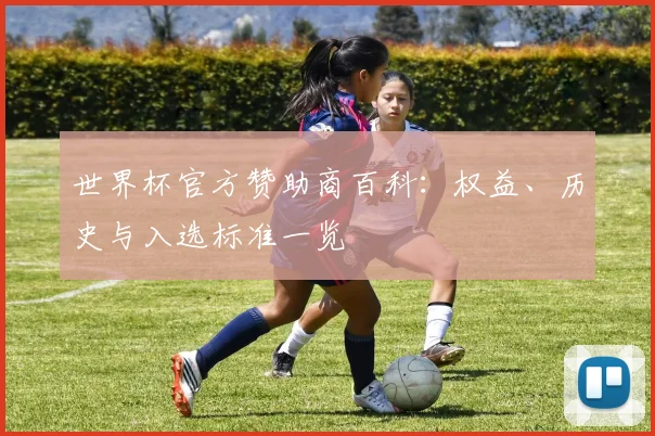 世界杯官方赞助商百科：权益、历史与入选标准一览