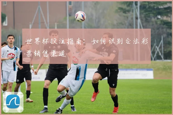 世界杯投注指南：如何识别合法彩票销售渠道