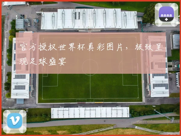 官方授权世界杯真彩图片，极致呈现足球盛宴
