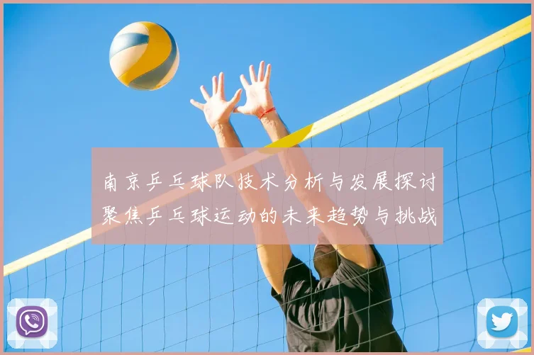 南京乒乓球队技术分析与发展探讨聚焦乒乓球运动的未来趋势与挑战