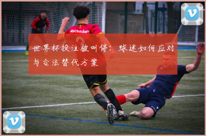 世界杯投注被叫停:球迷如何应对与合法替代方案