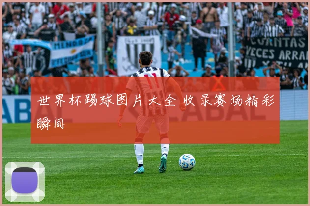 世界杯踢球图片大全 收录赛场精彩瞬间