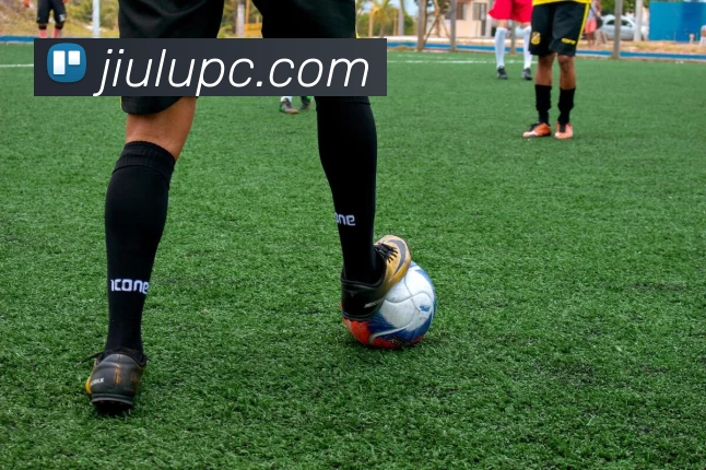 App Interface Preview